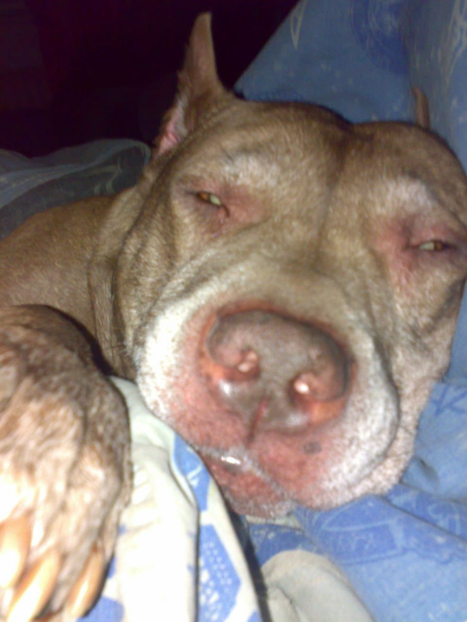 Сергей Васюрин | Санкт-Петербург