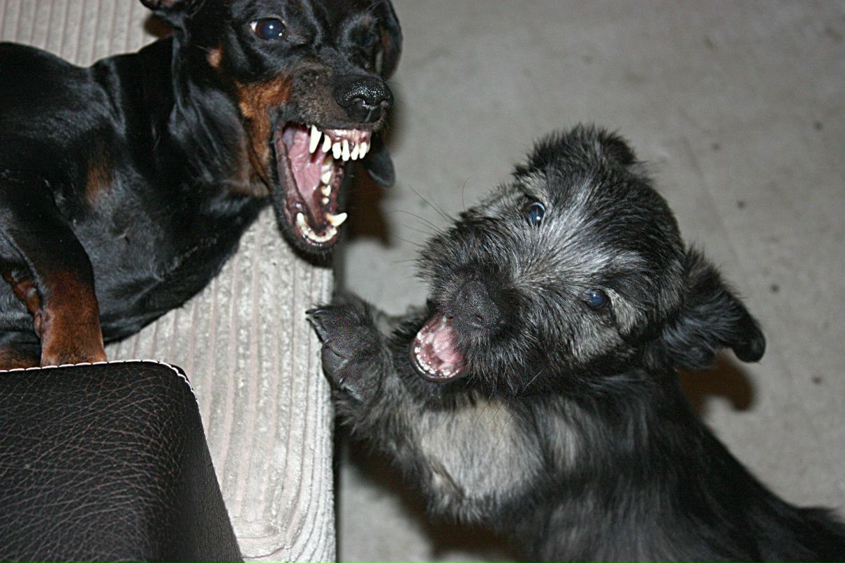 Ангелина Сартакова | Санкт-Петербург