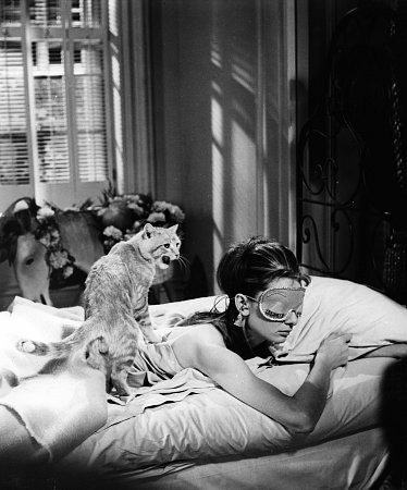 Ксюша Пегасова | Москва