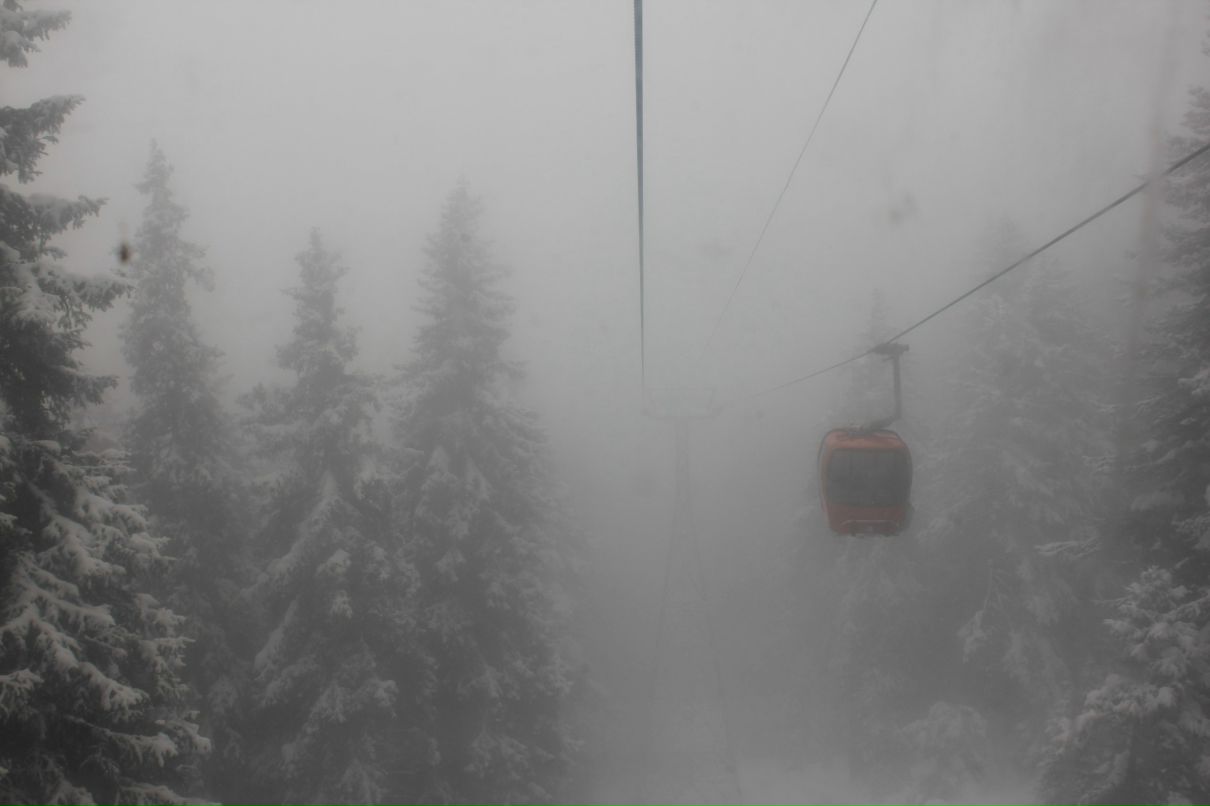 Алёна Ковалёва | Великий Новгород