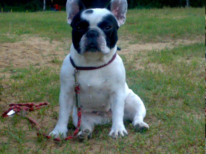 Макс Котов Bad boy (о_О) | Ногинск