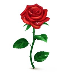 Арина Русакова | Нижний Новгород