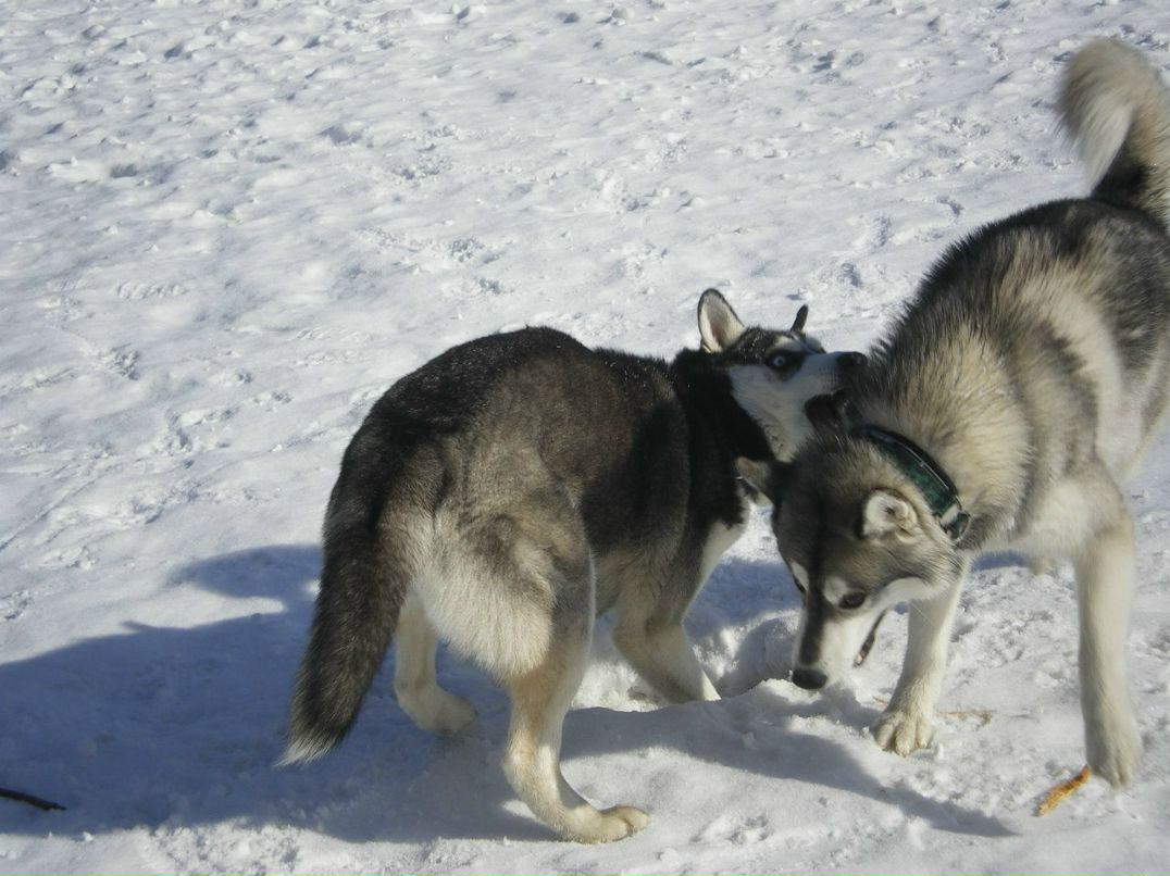 Наталья Кожанова | Москва