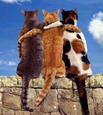 Елена Нечипуренко | Санкт-Петербург