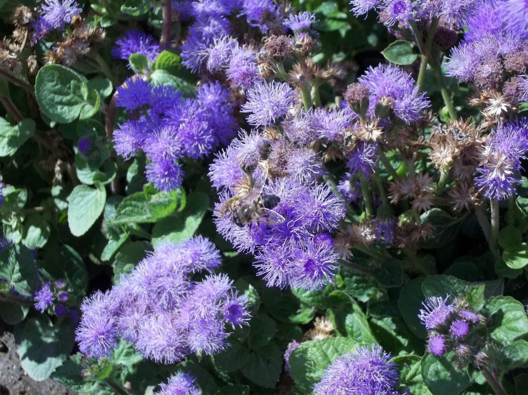 Алексей Зинюк | Бердянск