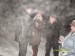 Оксана Глушко фотография #29