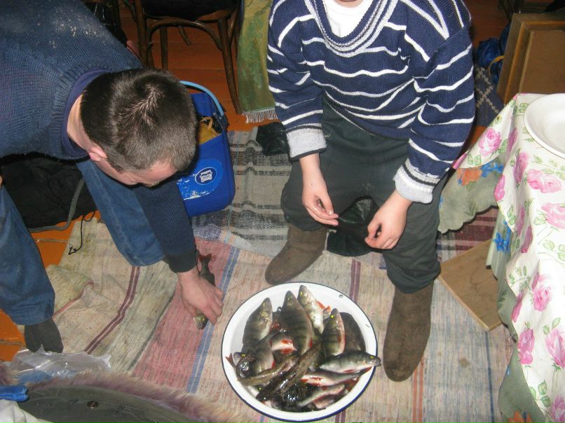 Елена Смирнова | Сиверский