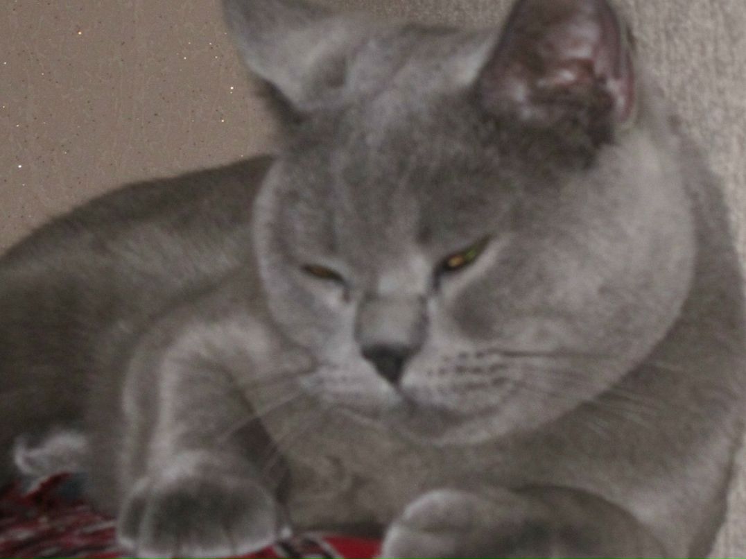 Ирина Цымбал | 