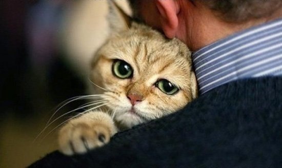 Артур Хилько Юрьевич | Мелитополь