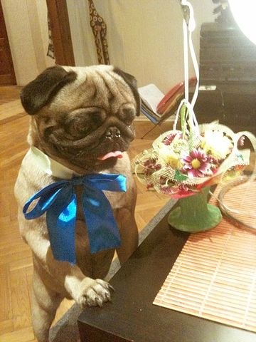 Павел Мкртычян | Минск