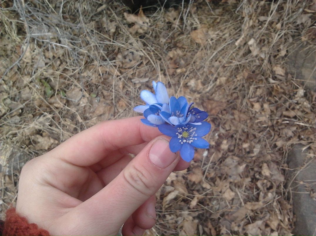 Галина Лозовская | Москва