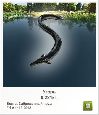 Николай Тищенко | Красноярск