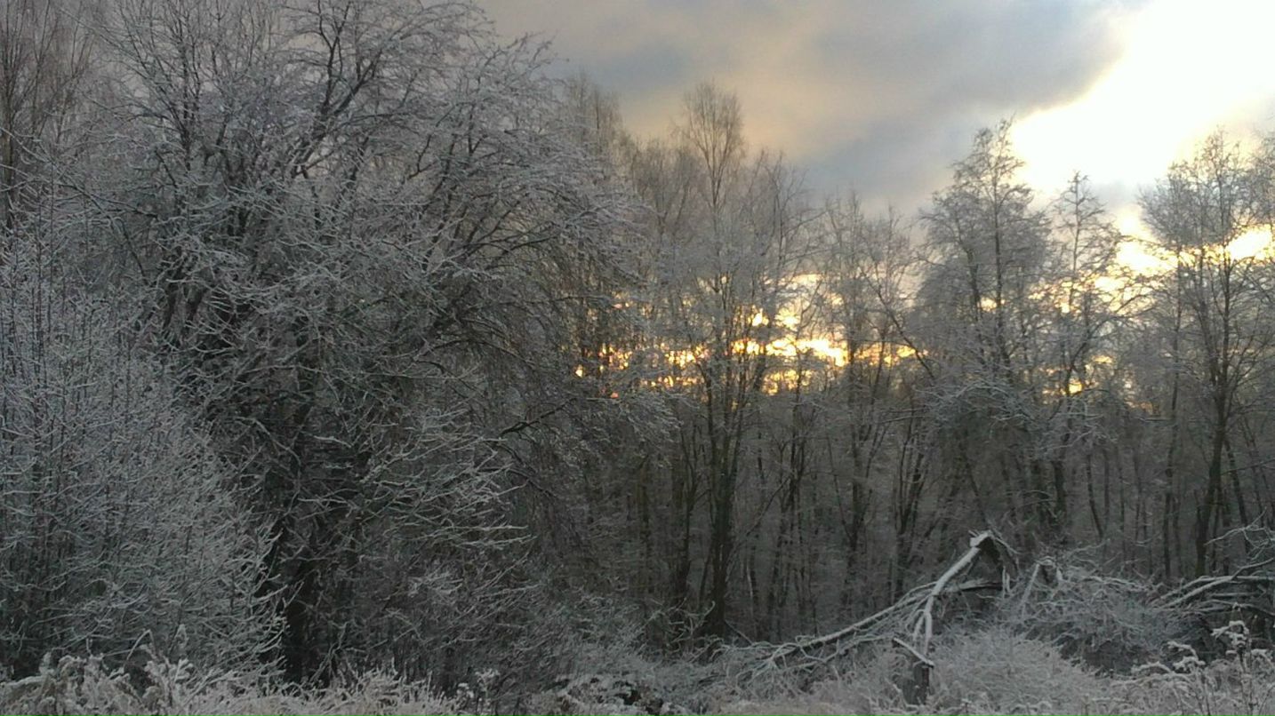 Александр Попов | Петрозаводск