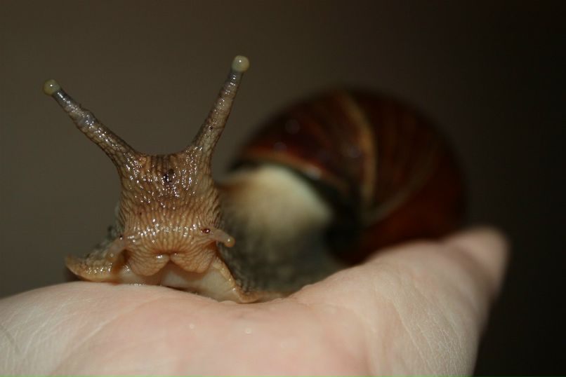 Настенька Неудахина ФеЯ! | Ленинск-Кузнецкий