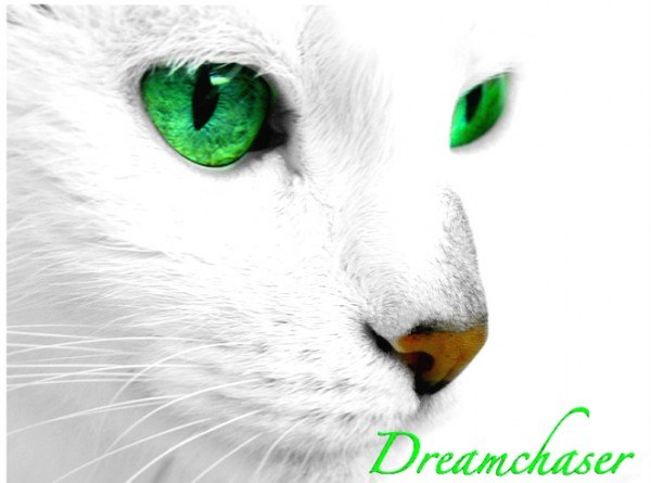 Антон Киселёв | Тургенево