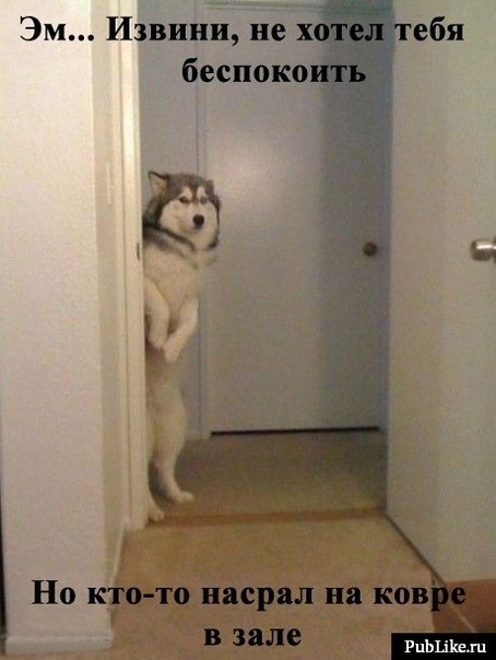 Мария Барышполь | Киев