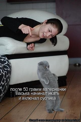 №48, Мария Ружило, 40 лет, Днепр (Днепропетровск) №48, Мария Ружило, 40 лет, Днепр (Днепропетровск)