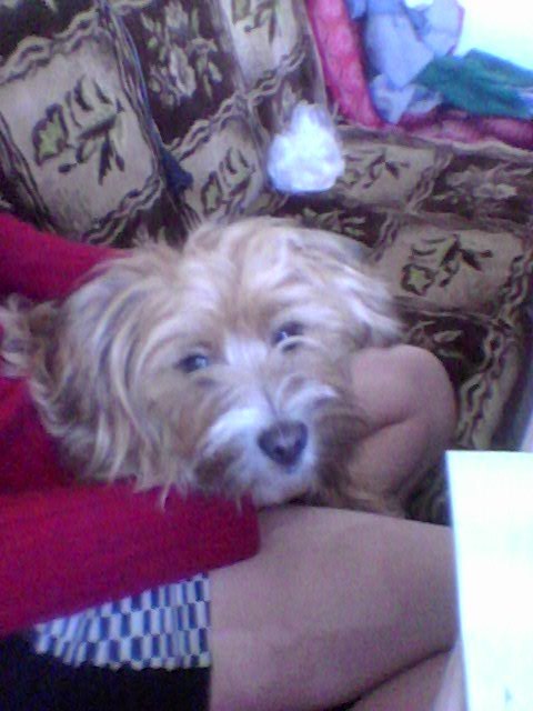 Дарья Климова | Осьмино