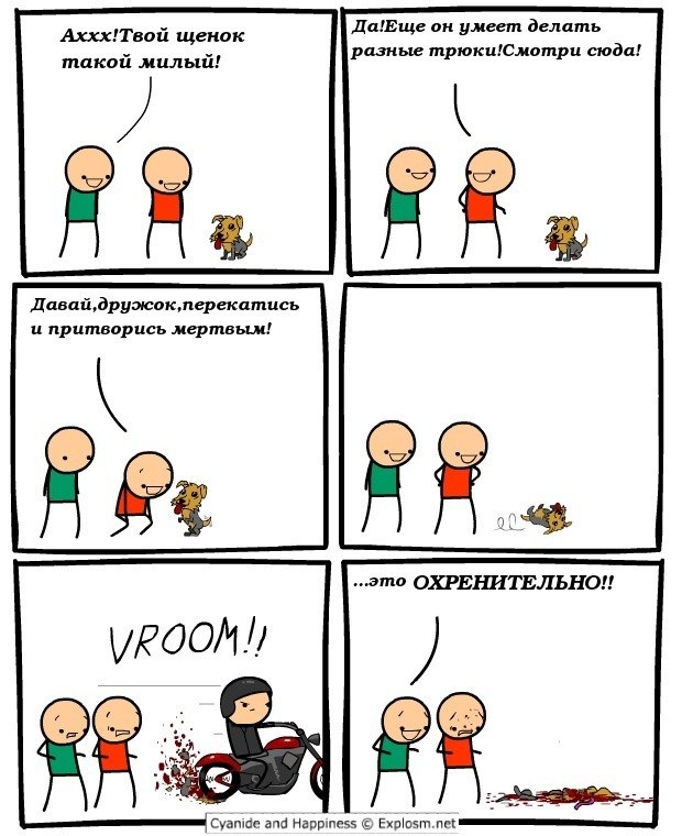 Павел Снетков | 