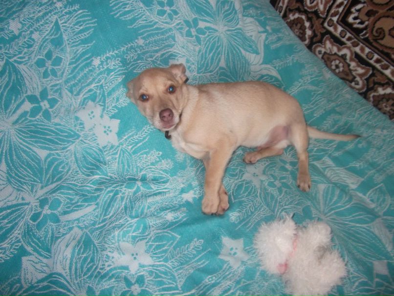 Алина Карначёва | Горячий Ключ