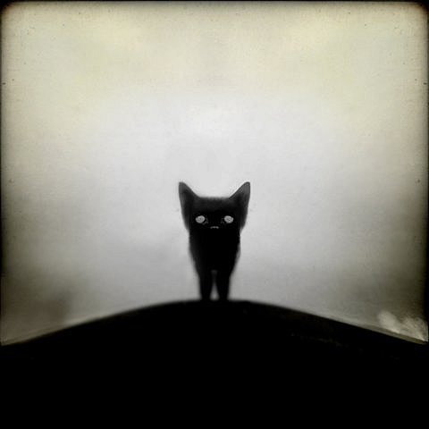 №4, Дима Яковлев, 41 год, Нягань №4, Дима Яковлев, 41 год, Нягань