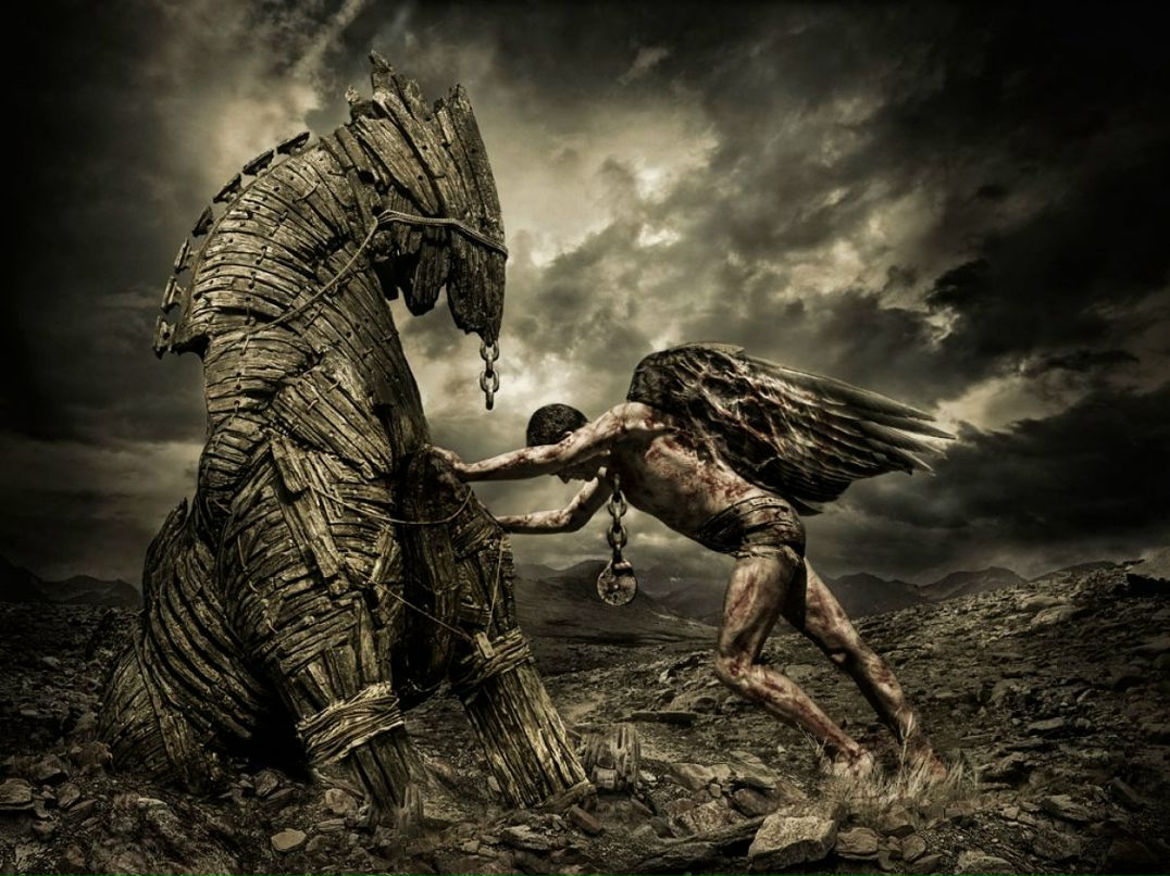 Крістіан Шаркань | Виноградов