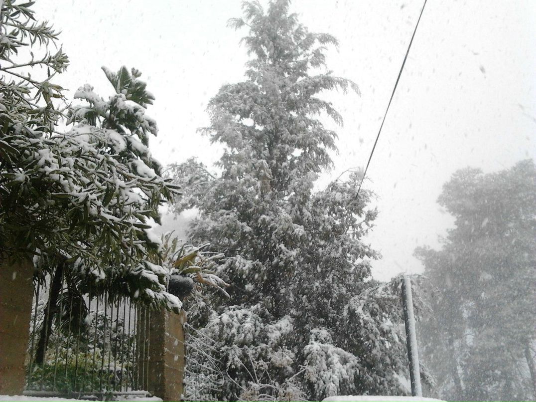 Осама Боллейн ...еще один... | Иерусалим