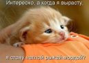 Фотография Алексей Дементьев