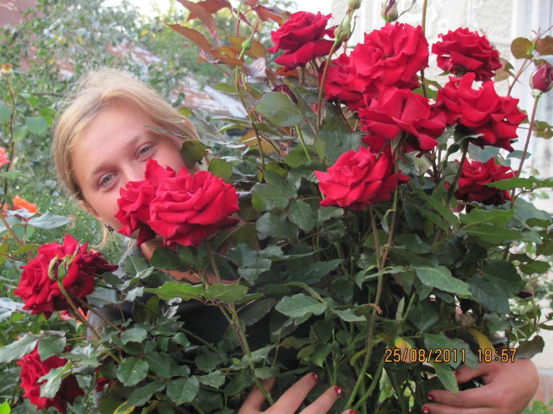 Наталя Вовк @ Nataschka@ | Тернополь