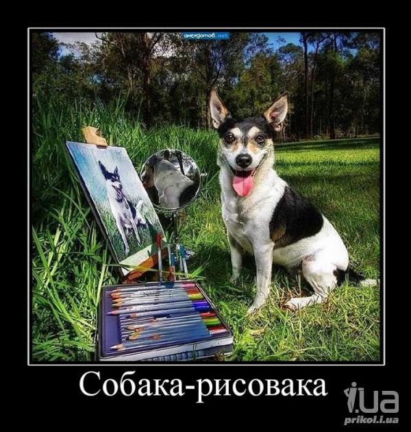 Андрей Лефутуренко | Киев