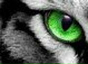 Sergei Ganshyn SV | Николаев