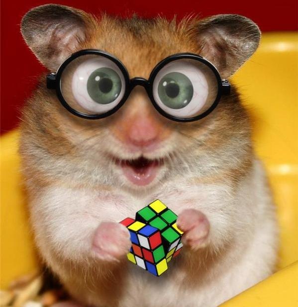 Костя Вахрушев Дэррик | Ярославль (деревня)