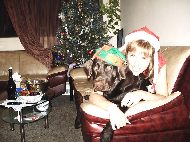 Анна Алексеева | Toronto