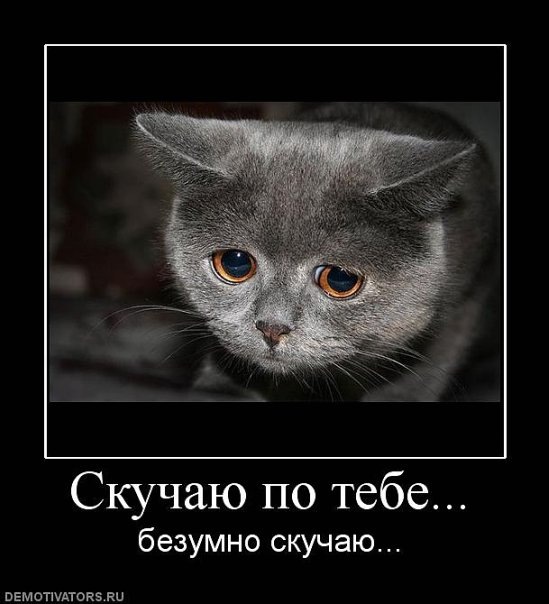 №27, Сашенька Гашева №27, Сашенька Гашева