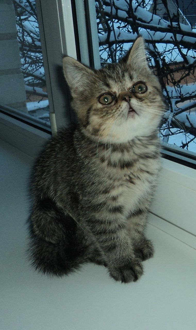 Лена Шахова | Люберцы