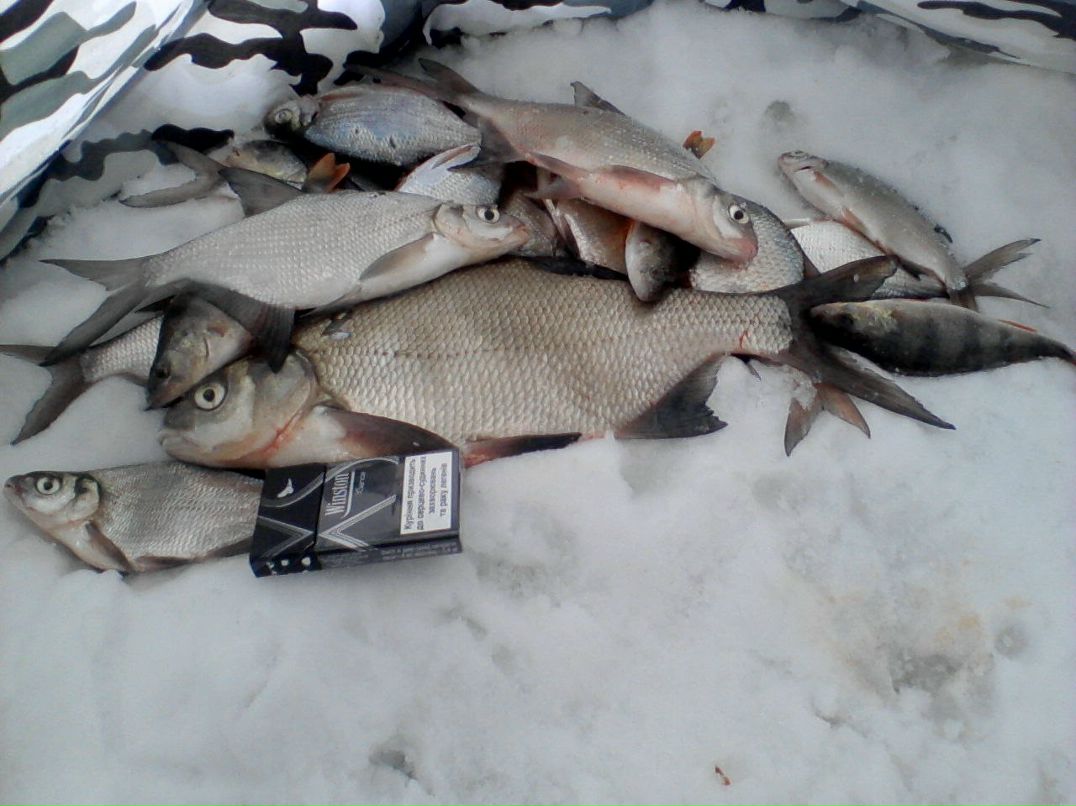 Андрей Иванников <=incoder=> | Харьков