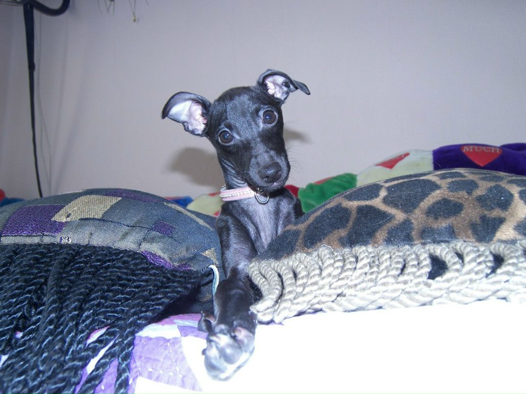 Оксана Маловик | Санкт-Петербург