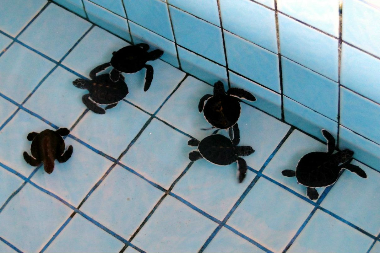 Марина Дорофеева | Казань