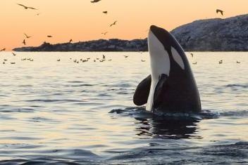 №69, Маргарита Перхун, 35 лет №69, Маргарита Перхун, 35 лет