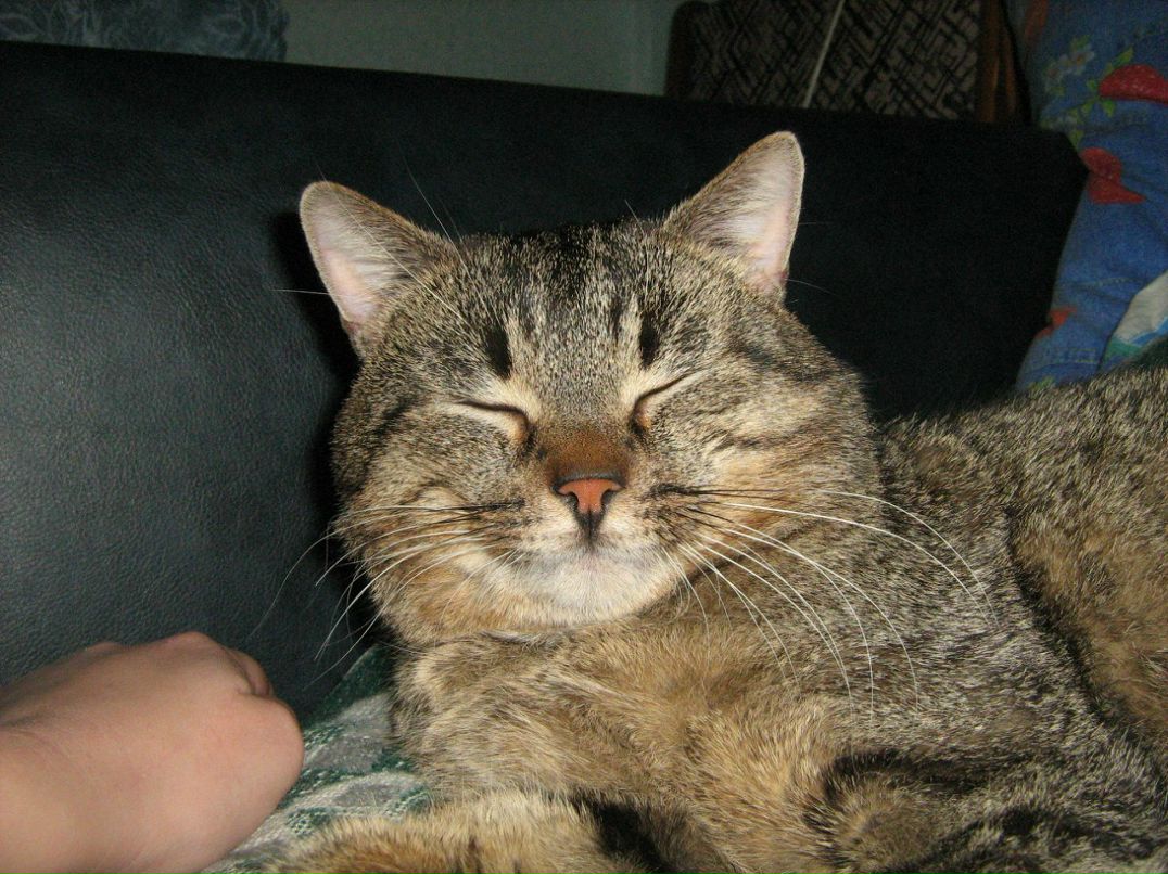 Андрей Герасимович | Гродно