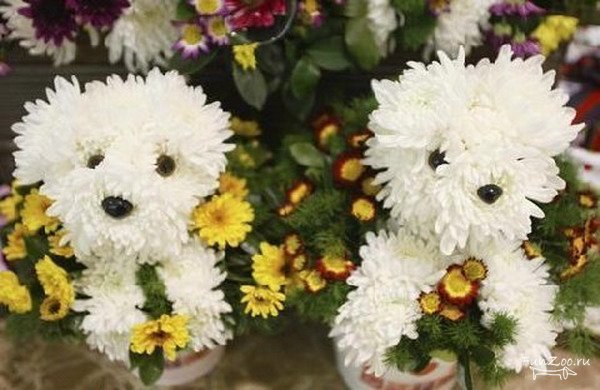 №52, Анжелика Хасанова, Уфа №52, Анжелика Хасанова, Уфа