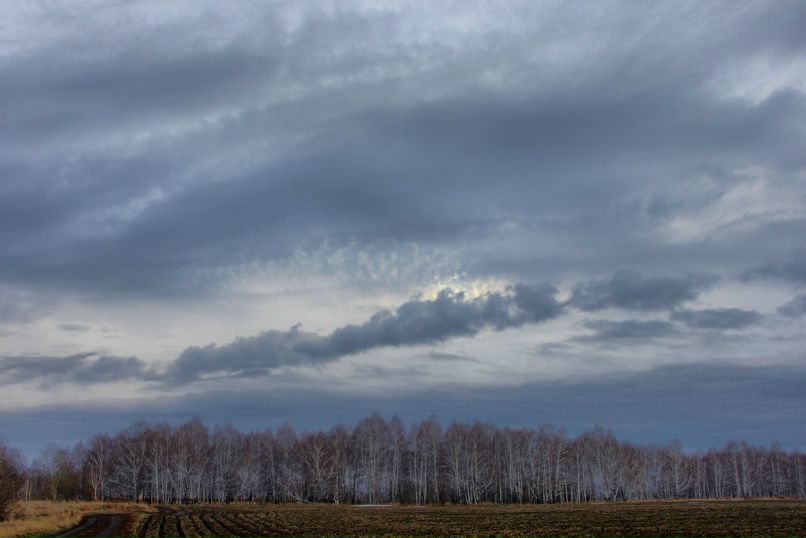 Егор Каплунов | Барнаул