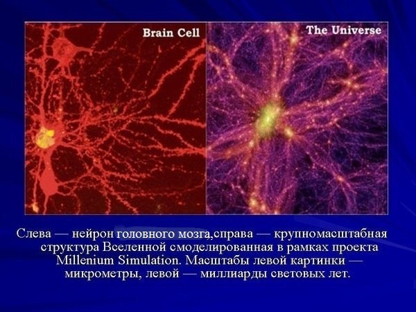 Глеб Горяшин | 