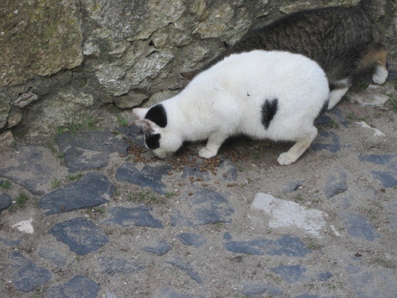 Катя Морозовы и Оля | Москва