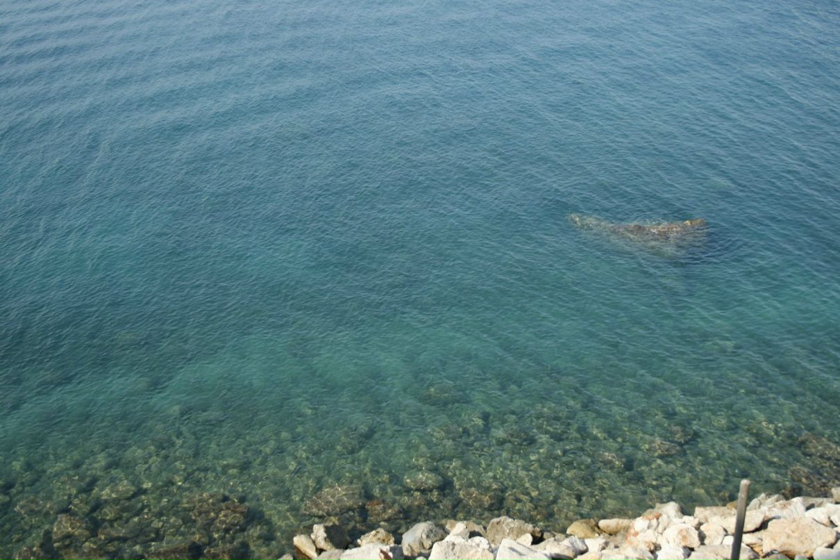 Виктор Фатерин | Новосибирск