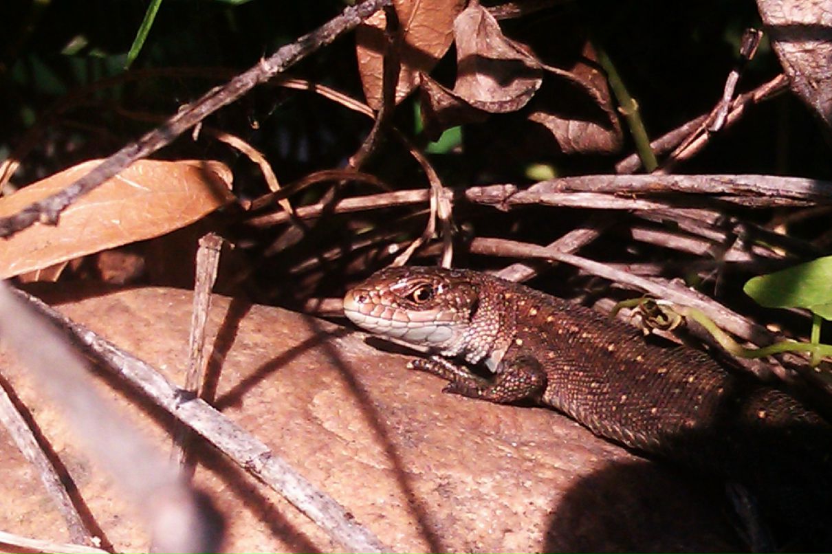 София Якупова | Москва