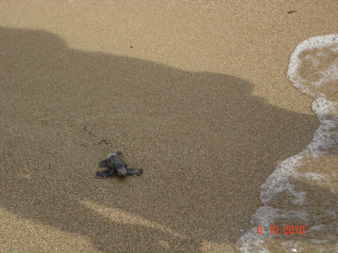 Татьяна Телегина | Санкт-Петербург