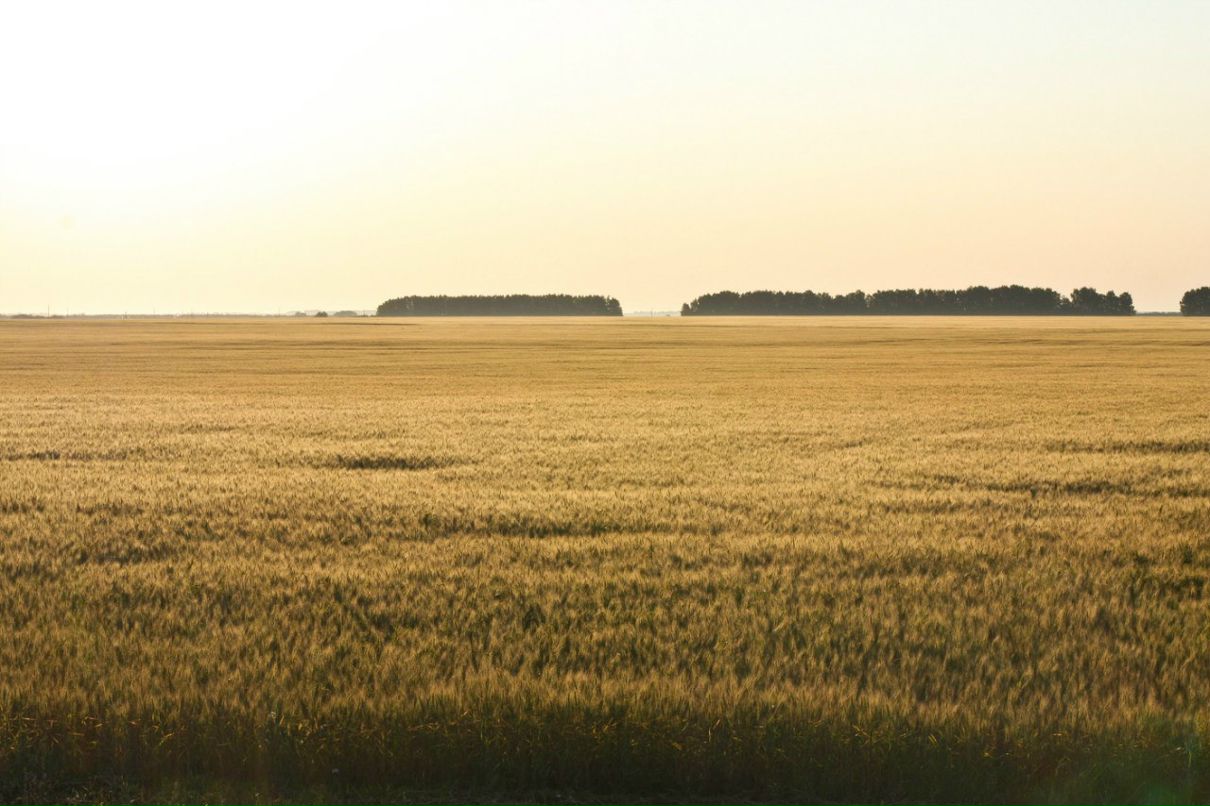Андрей Лукьянов | Москва