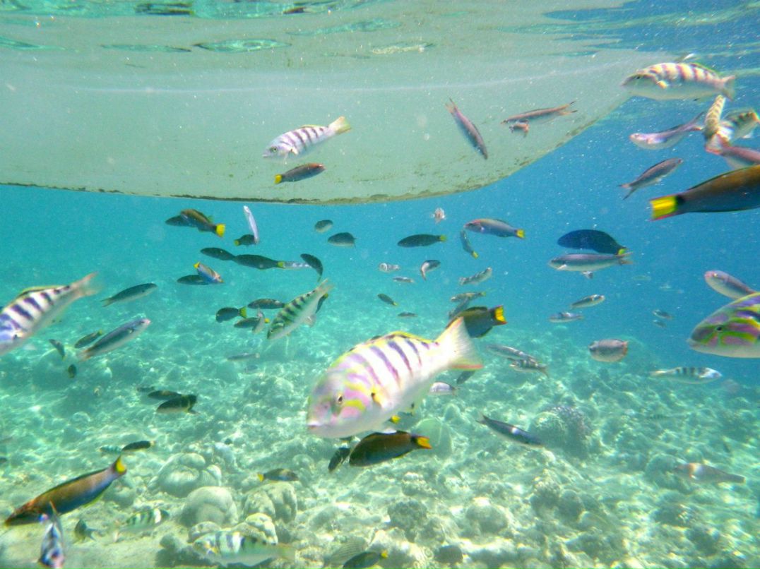 Вера Кондакова | Shenzhen