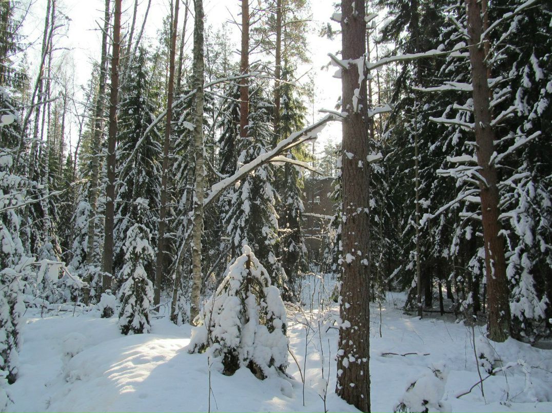 Павел Блинов | Санкт-Петербург